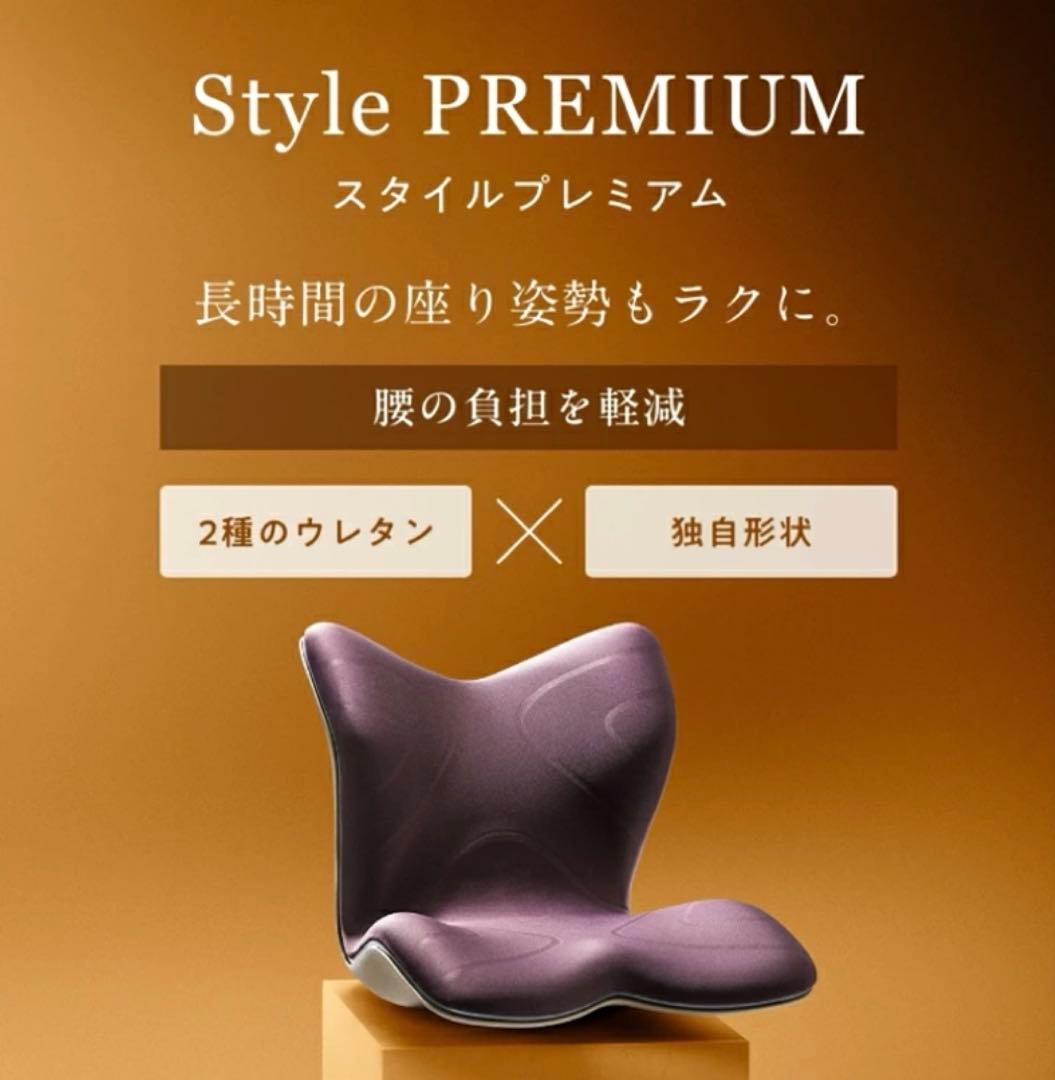 スタイルプレミアム Style PREMIUM 骨盤矯正　イス　椅子　MTG