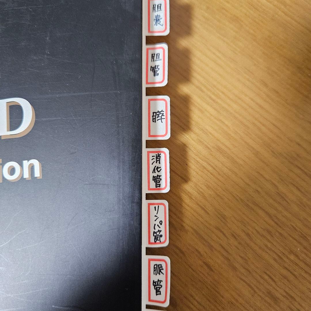 腹部超音波テキスト 上・下腹部