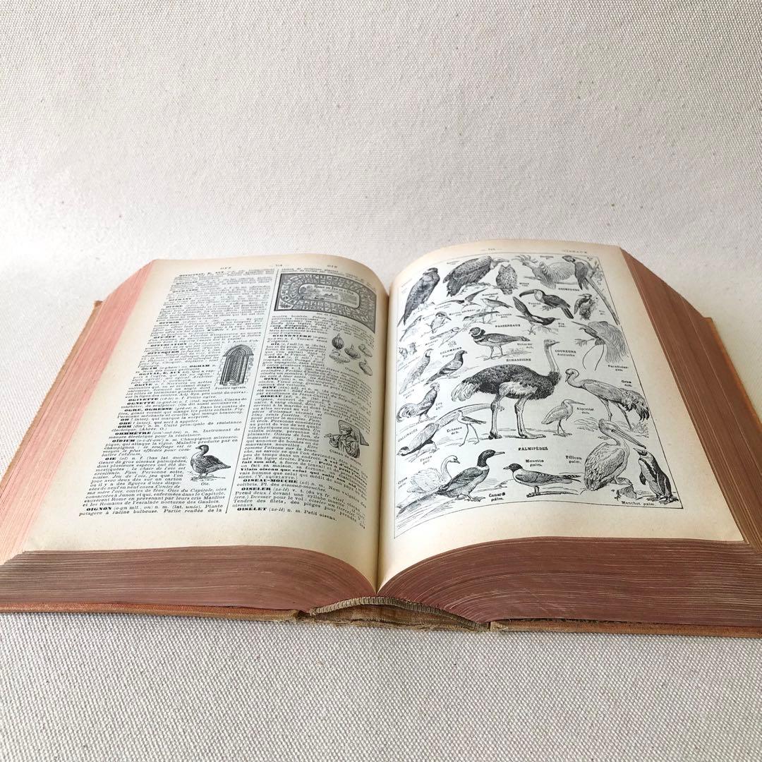 1924年版　タンポポの装丁が可愛いフランスの大百科事典　ヴィンテージ