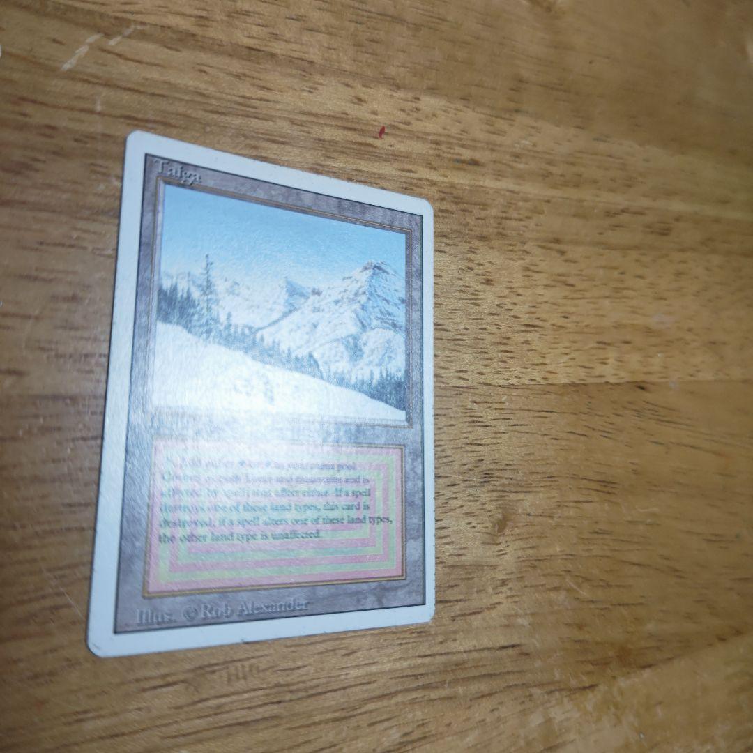 【断捨離】MTG 悲しみのtaiga 4枚