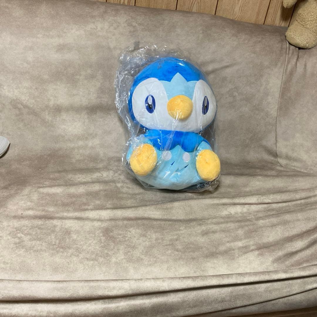PLUSH ポケモン ポッチャマ x fragment ぬいぐるみ新品