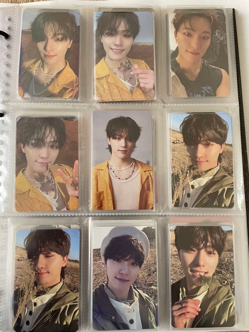 SEVENTEEN ディノ まとめ売り