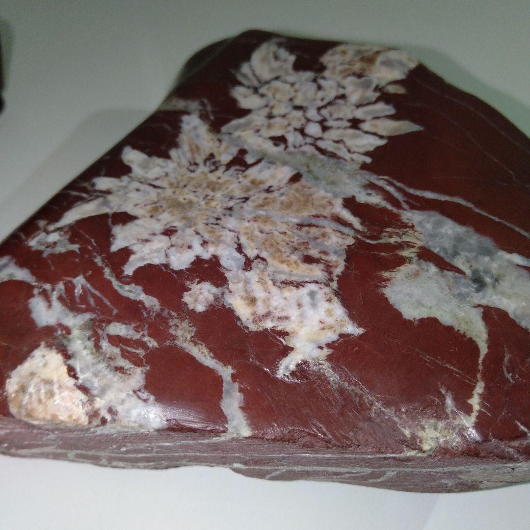 菊花石　水石　エーデルワイス　美麗台付き１個