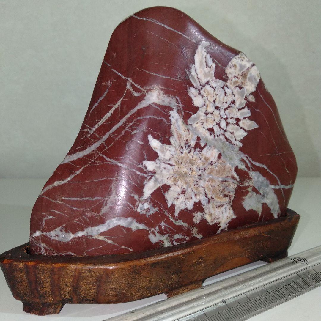 菊花石　水石　エーデルワイス　美麗台付き１個