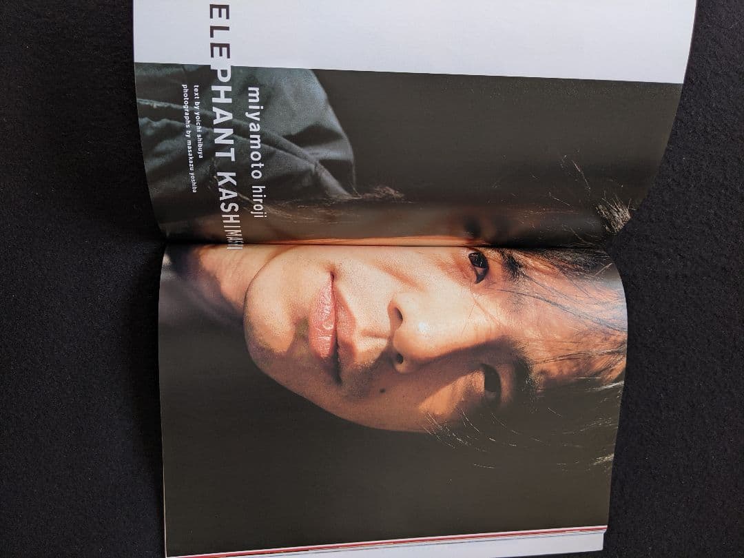 BRIDGE 2001　山崎まさよし　エレファントカシマシ　宮本浩次　忌野清志郎