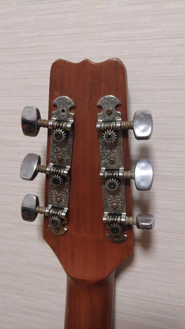 ギター Vintage VIS-1