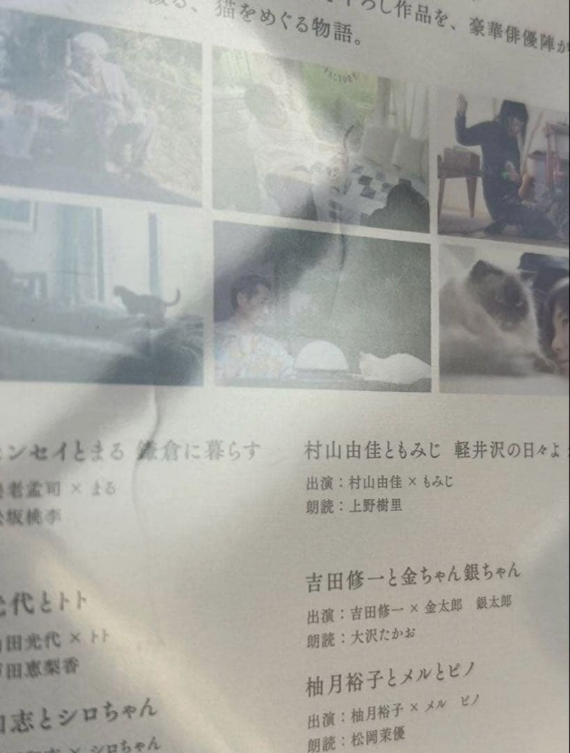 ネコメンタリー 猫も、杓子も。DVD 2枚組