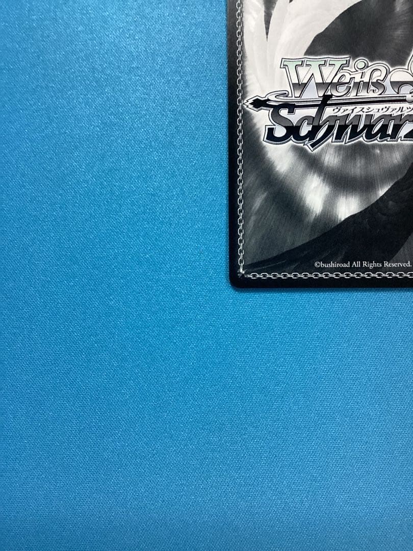 WS 白い稲妻 タマモクロス SSP サイン