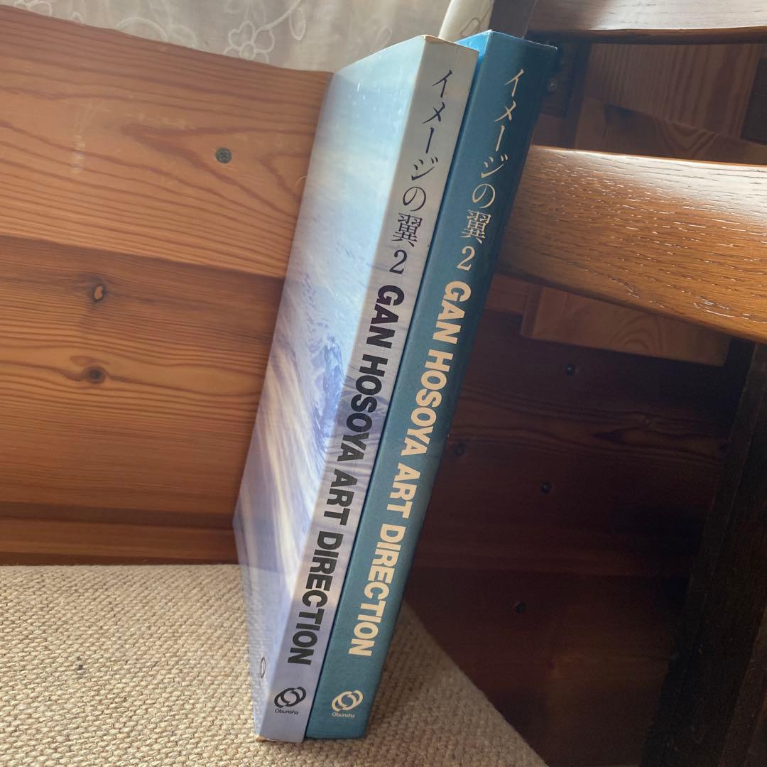 GAN HOSOYA ART DIRECTION イメージの翼 2 細谷厳