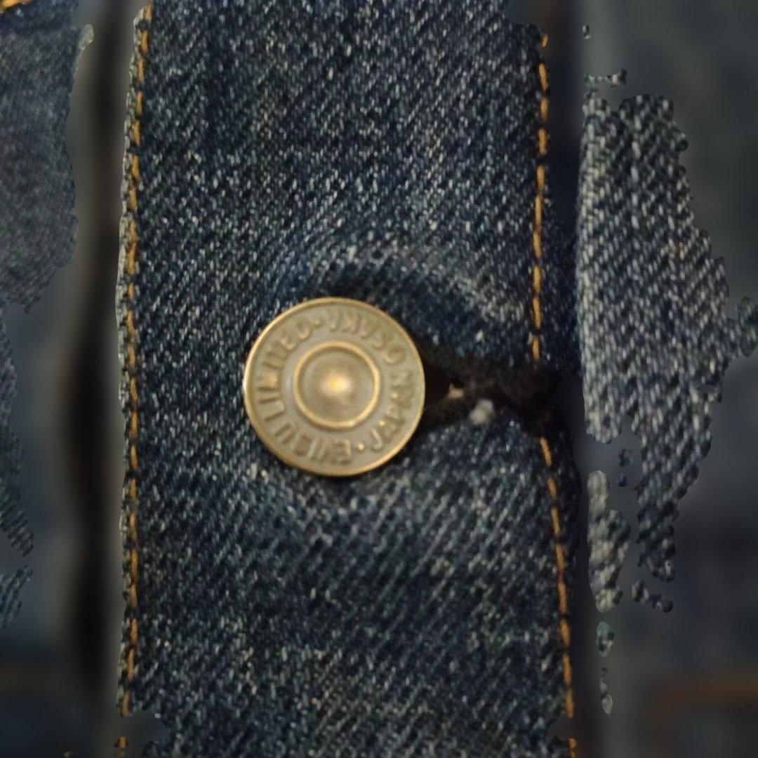 新品未使用半額!!EVISU【LOT.1507TIGER PRESHRUNK】M