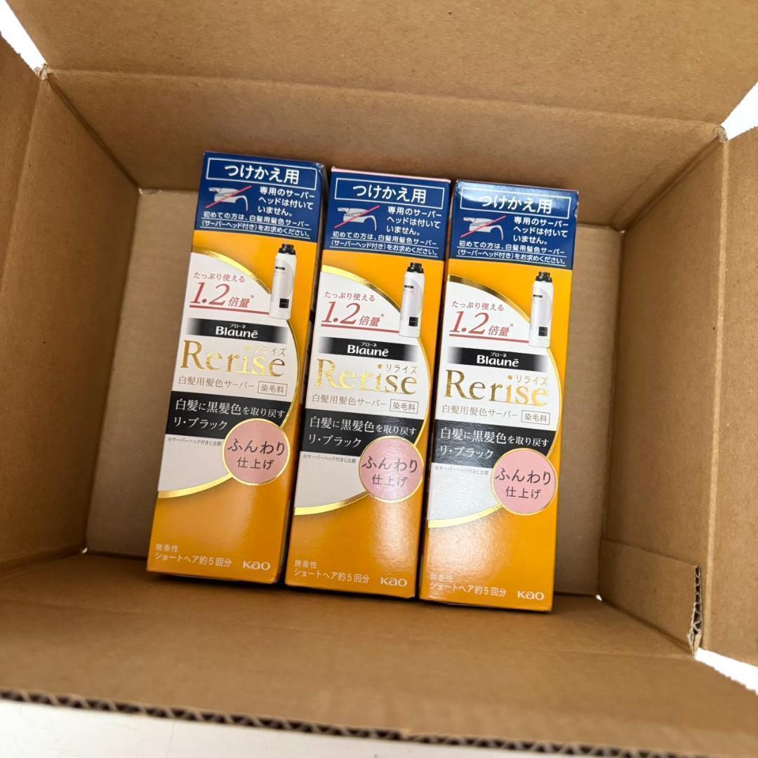 【訳あり】リライズ白髪用髪色サーバー リ ブラック つけかえ用190g3個セット