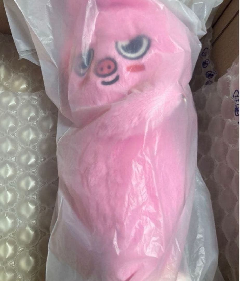 straykids SKZOO PLUSH BAG DWAEKKI 新品未開封