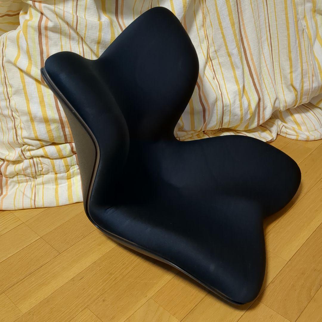 MTG Style PREMIUM スタイルプレミアム 姿勢矯正