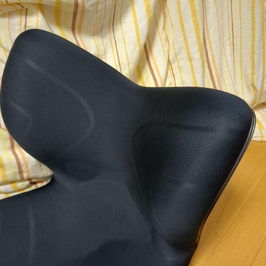 MTG Style PREMIUM スタイルプレミアム 姿勢矯正