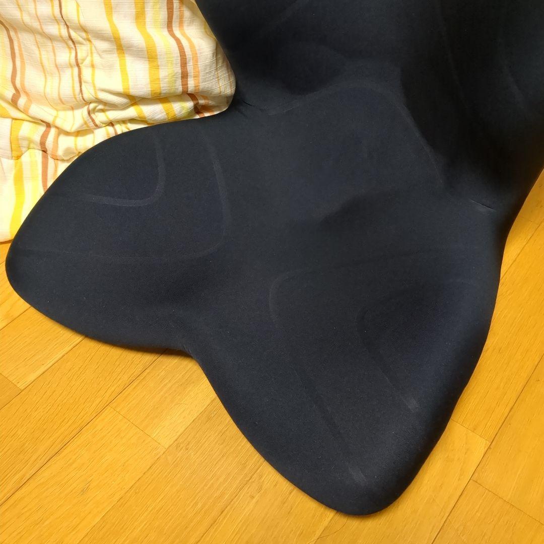 MTG Style PREMIUM スタイルプレミアム 姿勢矯正