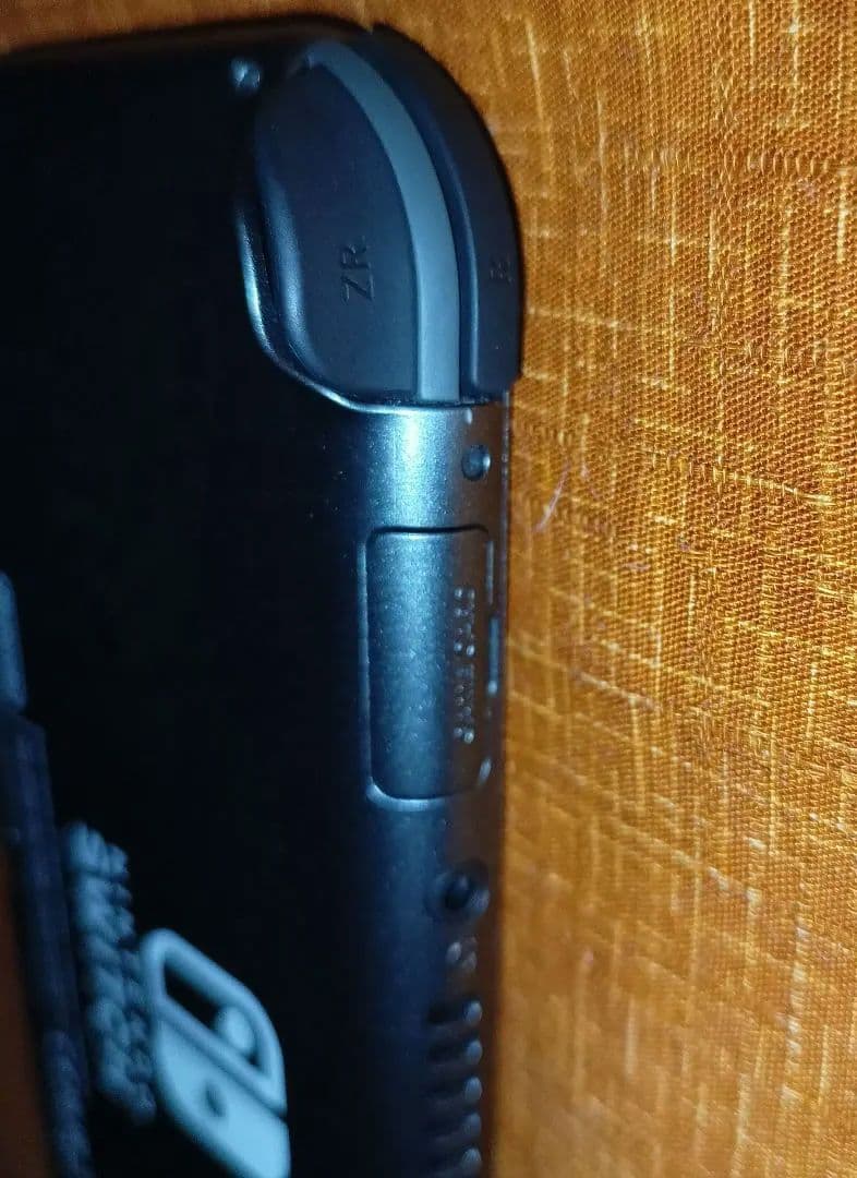 Nintendo Switch Lite ディアルガ パルキア特別仕様モデル