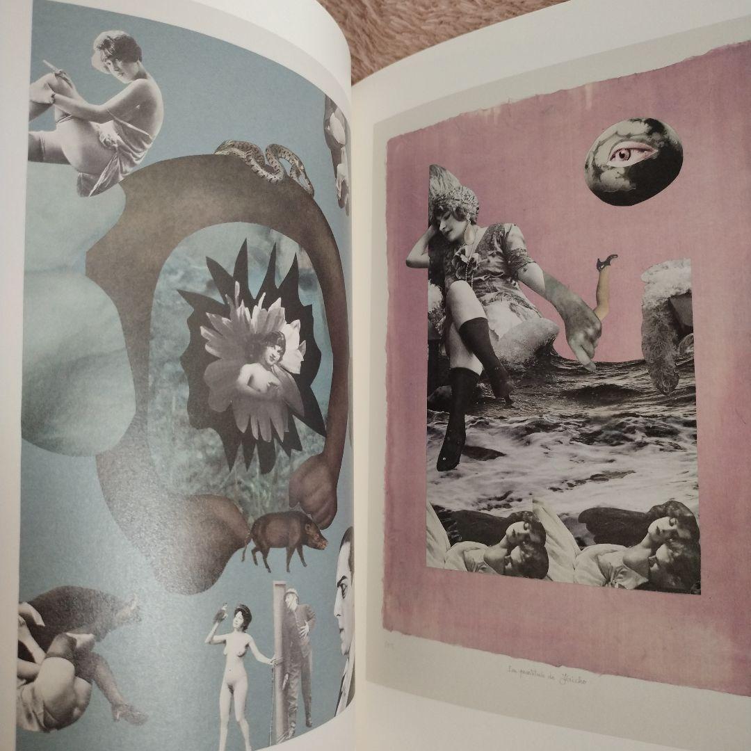 ナディーヌ・リボー　コラージュ作品集　山下陽子　岡上淑子　2010 - 2014