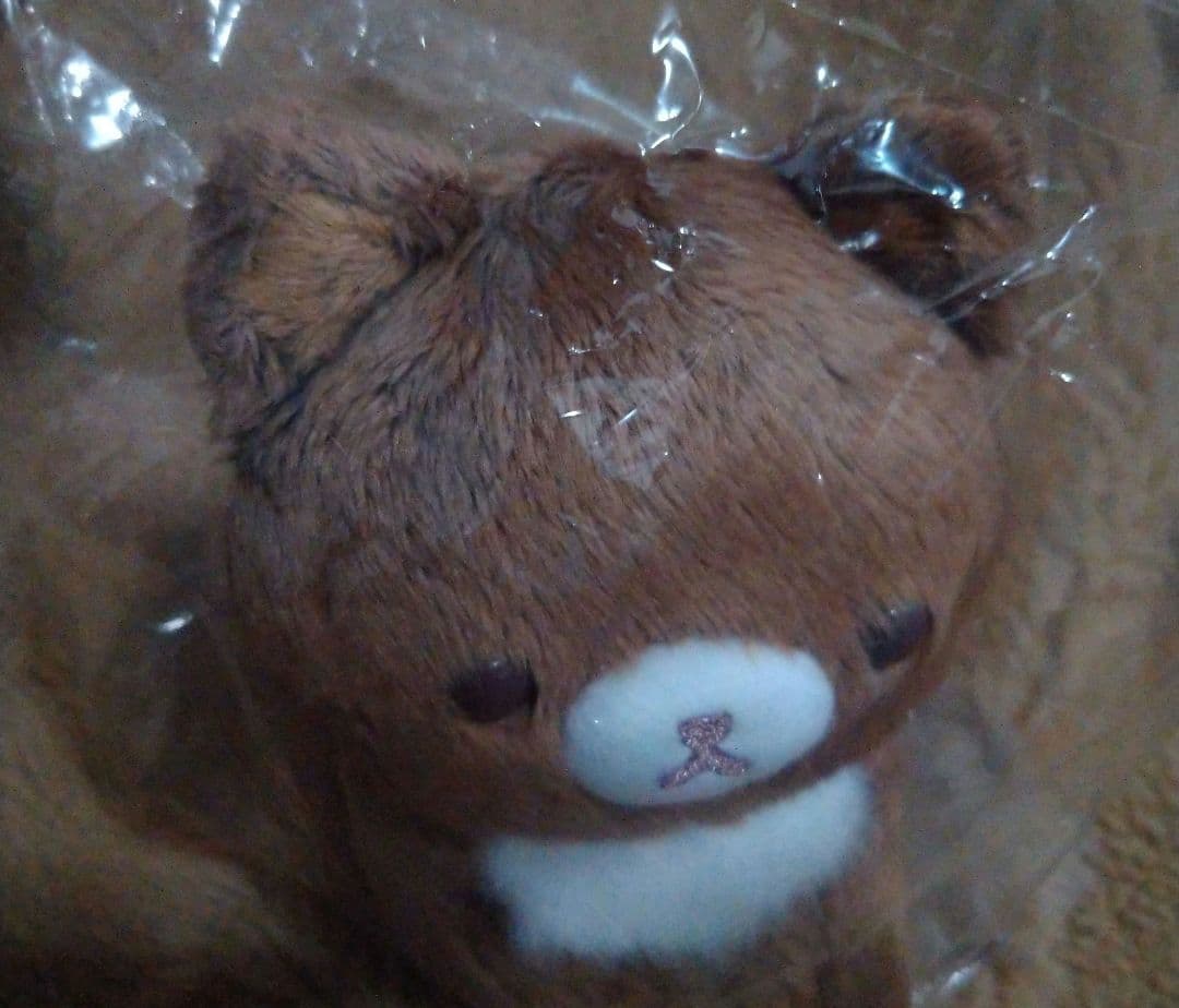リラックマ ココアキャット ぬいぐるみ