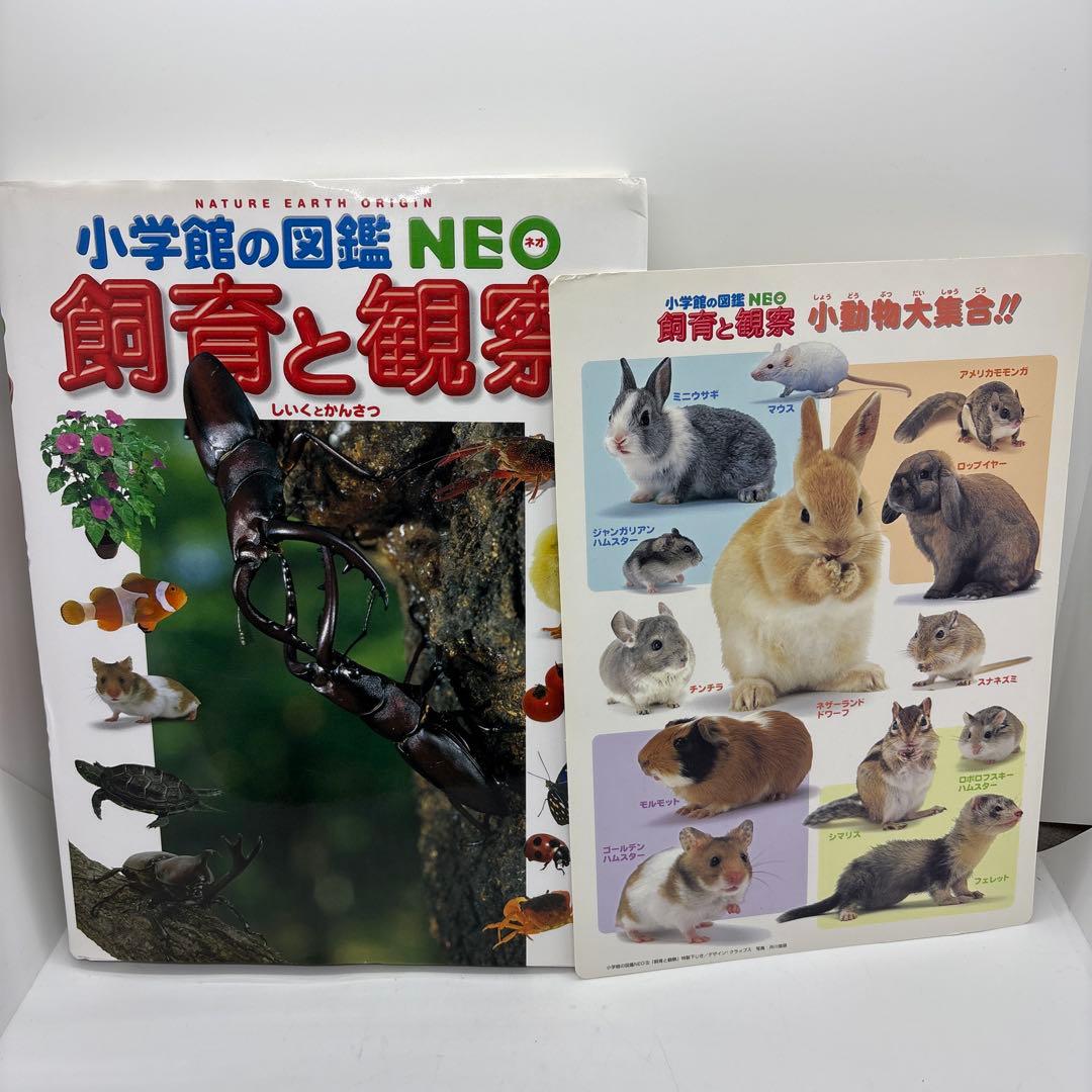 小学館の図鑑NEO プレNEO 15冊セット