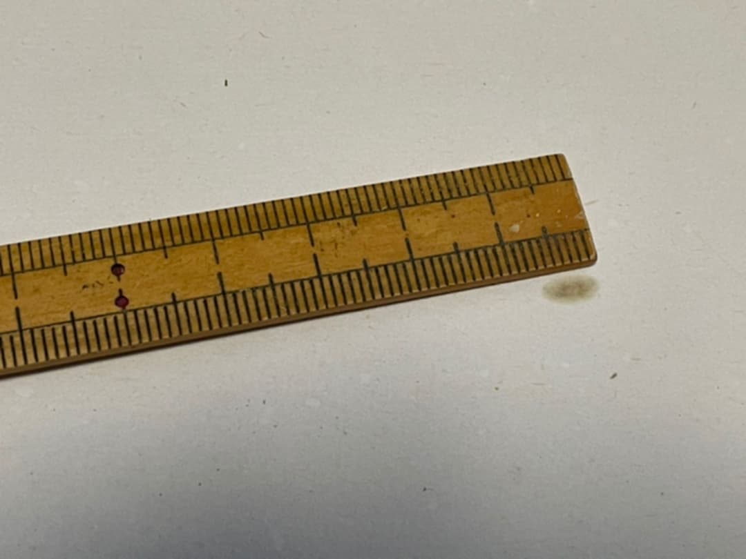 パズル セサミストリート クッキーモンスター 500ピース