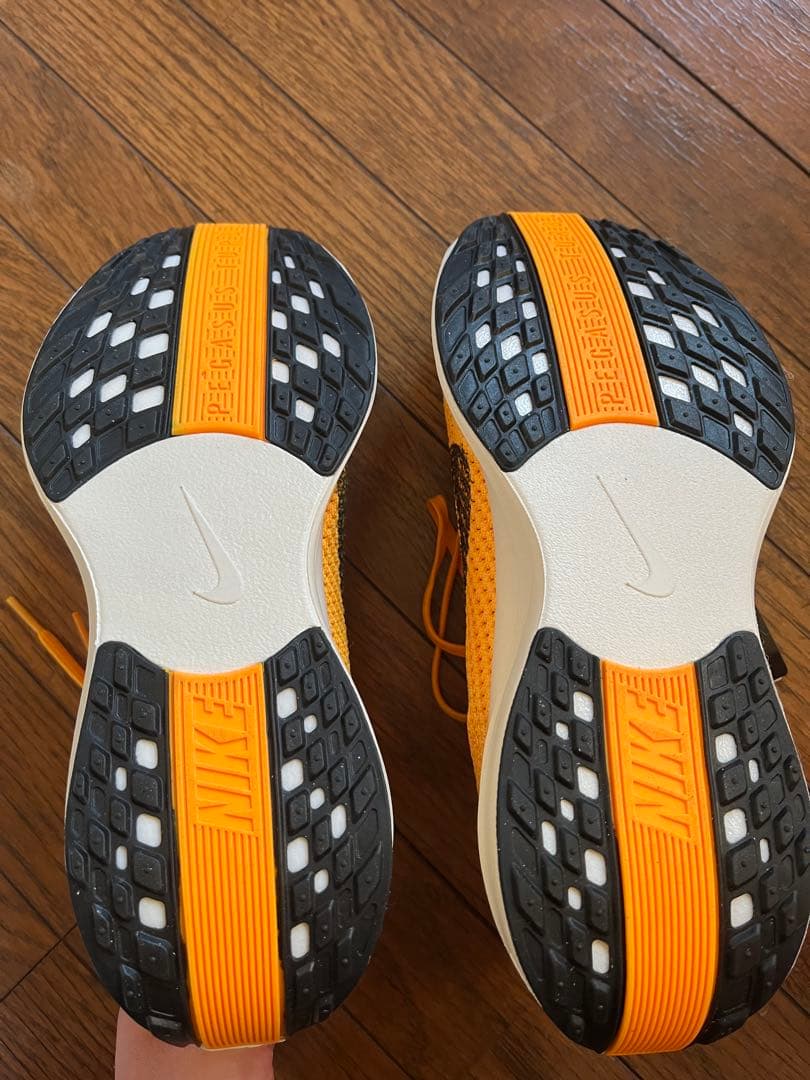 Nike Pegasus Plus LV8 25cm 値下げしました