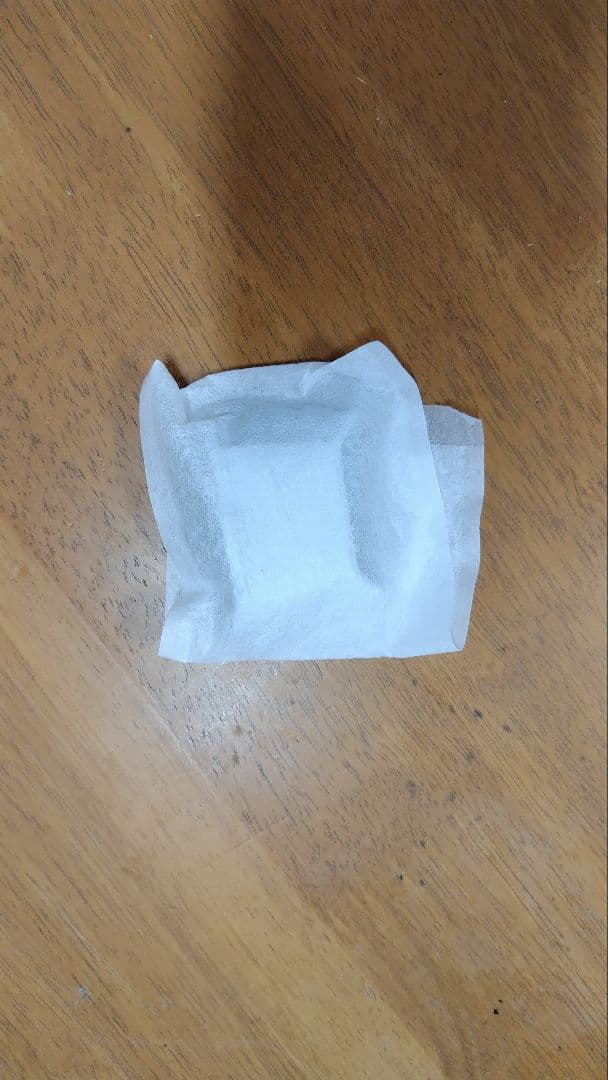 SONY　レオンポケットプロ　REON POCKET PRO