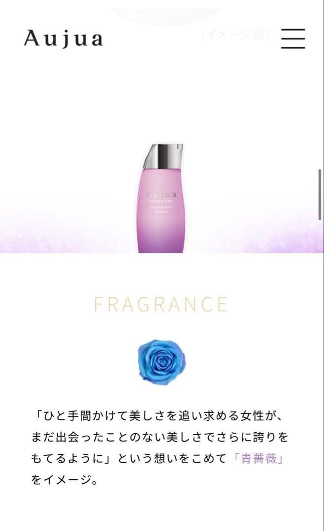 【新品未使用】 Aujua INMMETRY