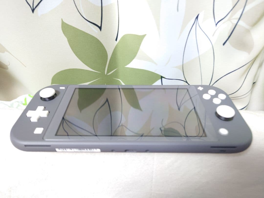 任天堂　スイッチ ライト　本体他周辺機器セット