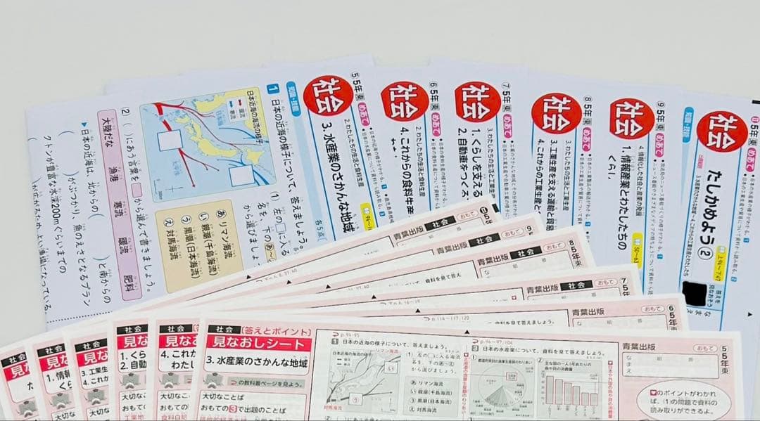小学5年生　カラー　テストプリント　答えたしかめ、見なおしシート　まとめ売り