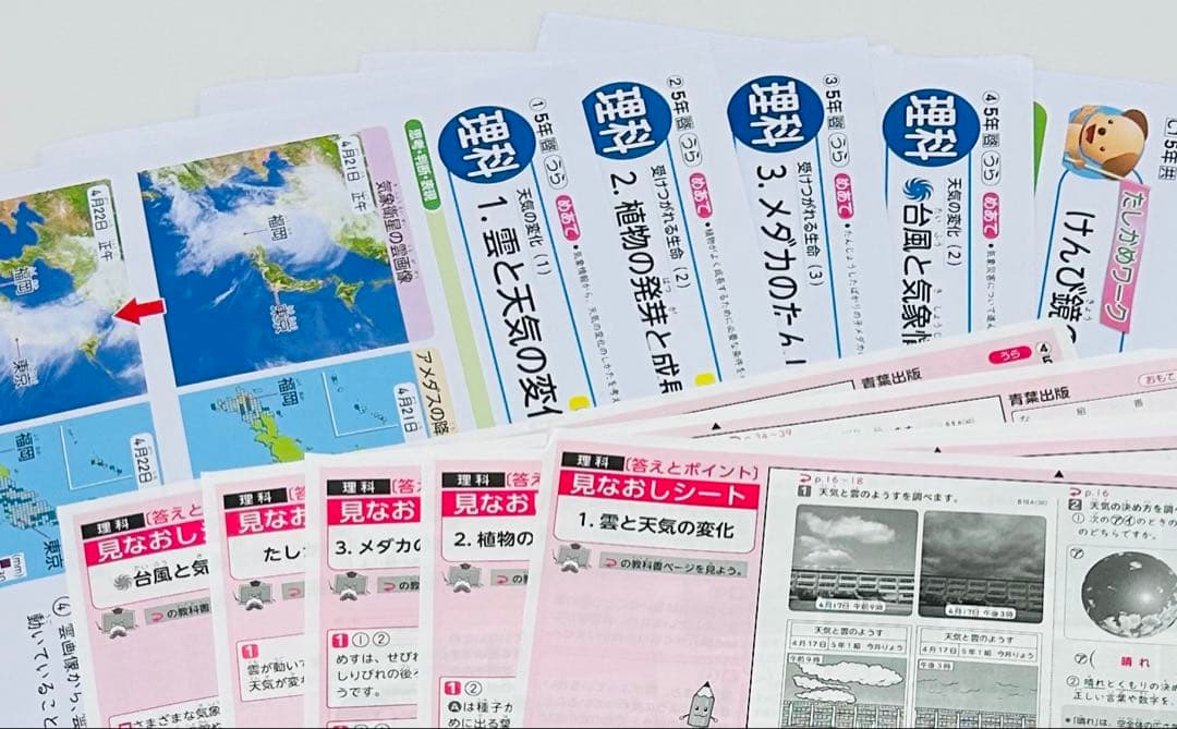 小学5年生　カラー　テストプリント　答えたしかめ、見なおしシート　まとめ売り