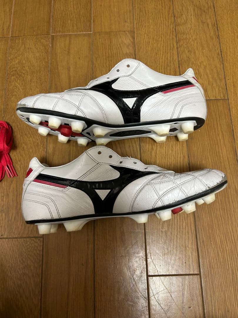 Mizuno Morelia モレリア　クロスステッチ