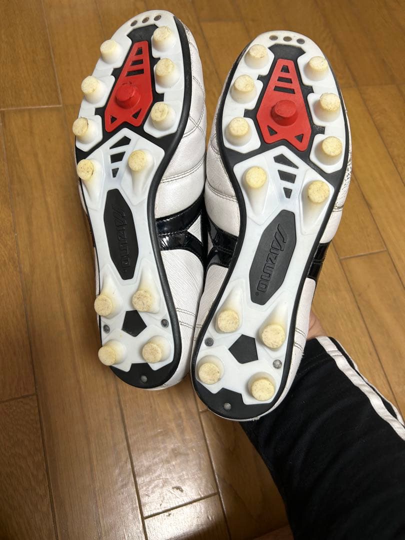 Mizuno Morelia モレリア　クロスステッチ