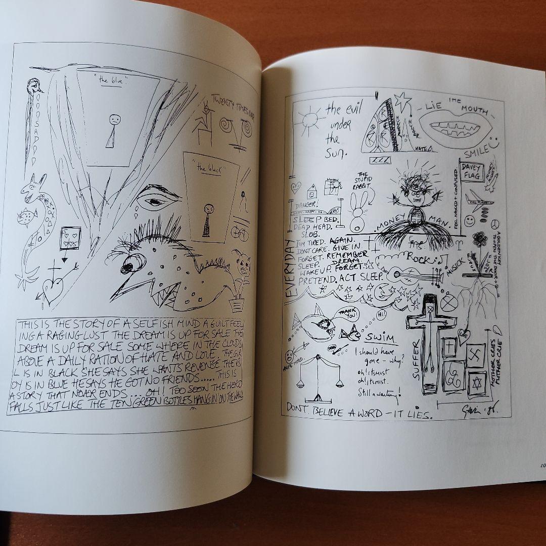 VIRGIN PRUNES 限定版