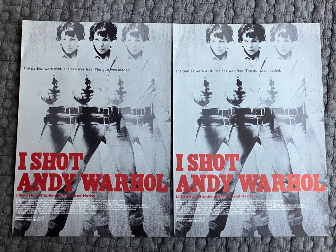 I SHOT ANDY WARHOL / アンディ・ウォーホルを撃った女　DVD
