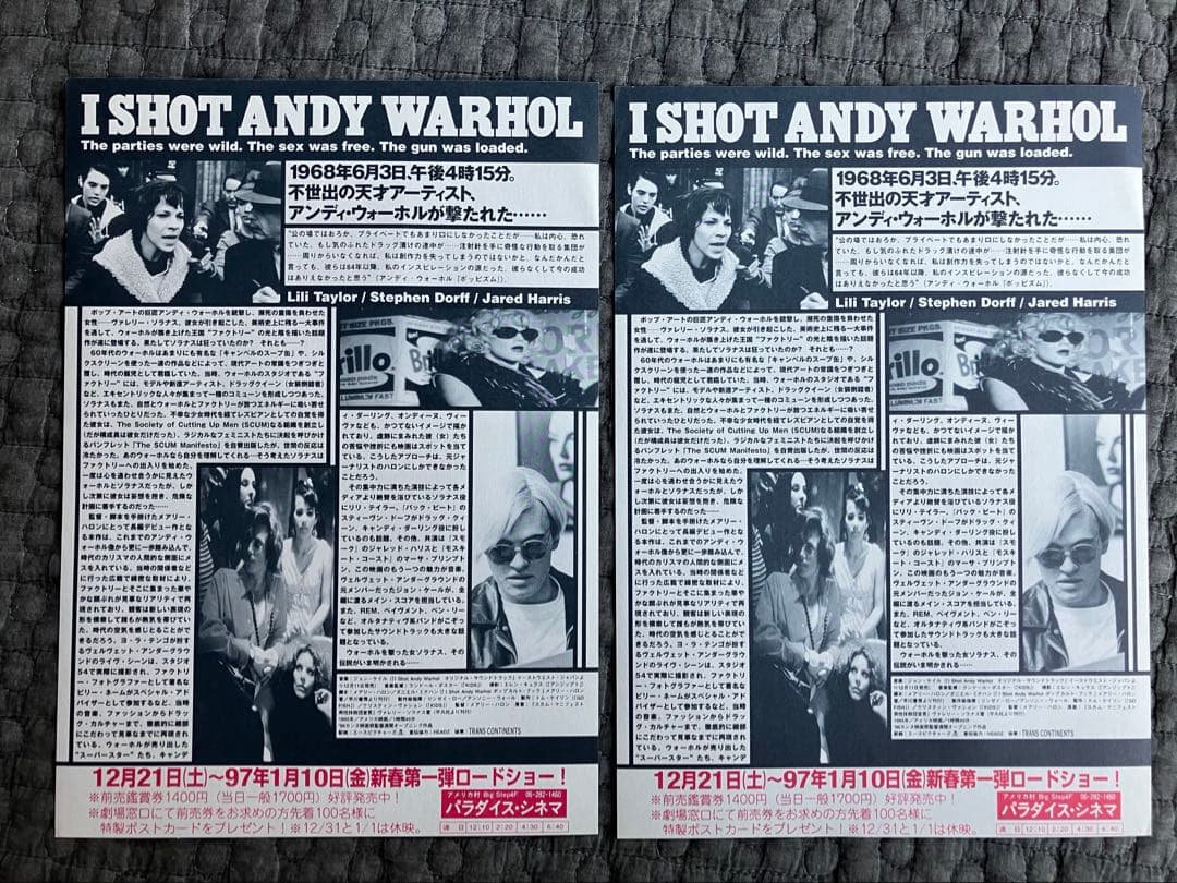 I SHOT ANDY WARHOL / アンディ・ウォーホルを撃った女　DVD