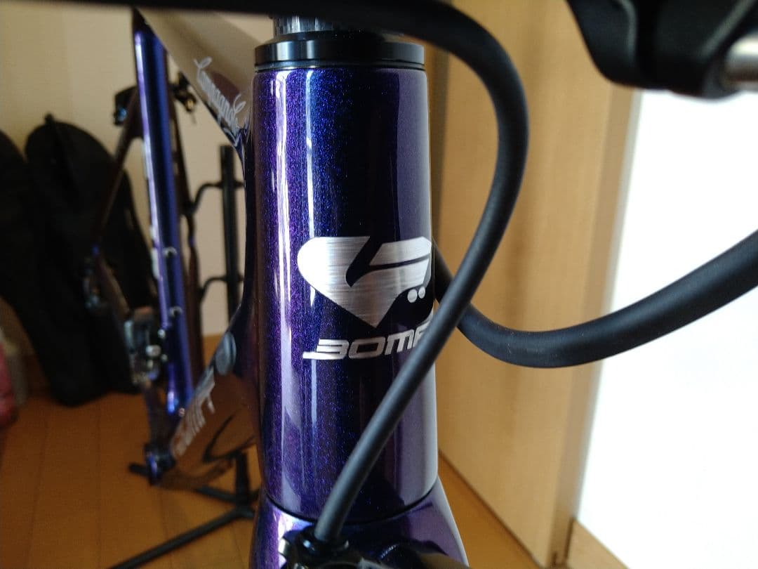 てっちゃん様　ご購入お願いいたします