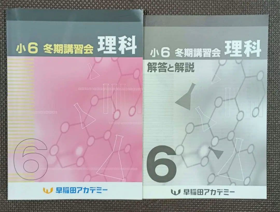 小6 冬期講習 早稲田アカデミー 6年生 早稲アカ 上位校　2024年