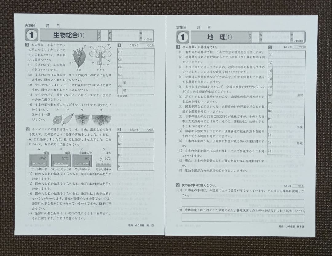 小6 冬期講習 早稲田アカデミー 6年生 早稲アカ 上位校　2024年