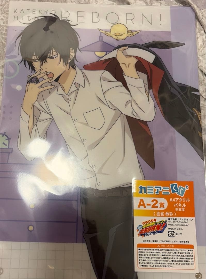 家庭教師ヒットマンREBORN