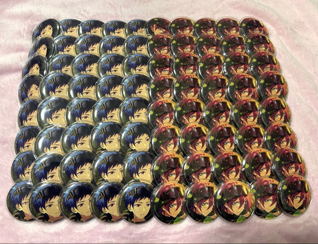 伏見 弓弦 七種 茨 缶バッジ テーマスカウト 前線の番犬 開花後