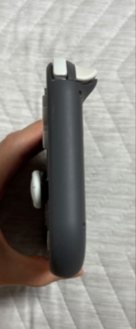 美品　Nintendo Switch Lite グレー　本体　値下げ交渉可能