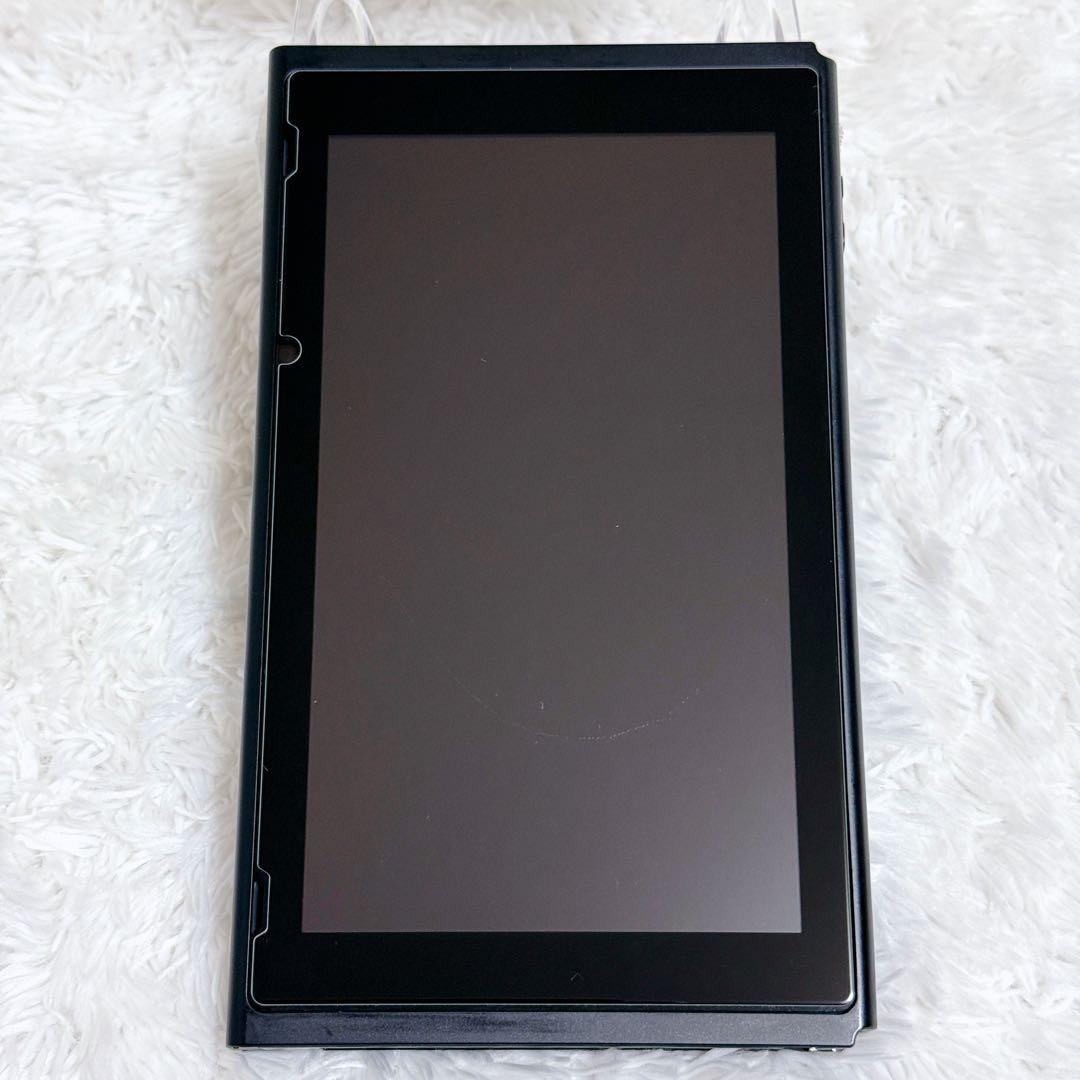 Nintendo Switch スイッチ 本体 2017年 未対策機 フィルター