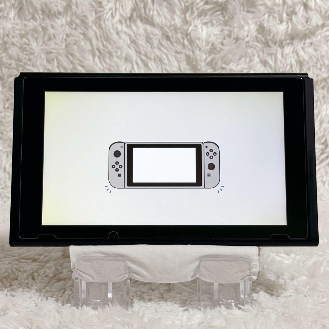 Nintendo Switch スイッチ 本体 2017年 未対策機 フィルター