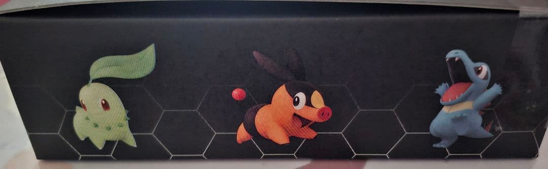 ポケモンレジェンズZA 早期購入特典 ソフト入り