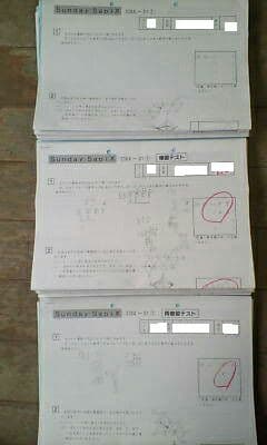 サピックス＊難関校ＳＳ特訓＊６年＊算数 ／開成 対策プリント＊全３７回＊貴重