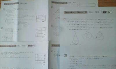 サピックス＊難関校ＳＳ特訓＊６年＊算数 ／開成 対策プリント＊全３７回＊貴重