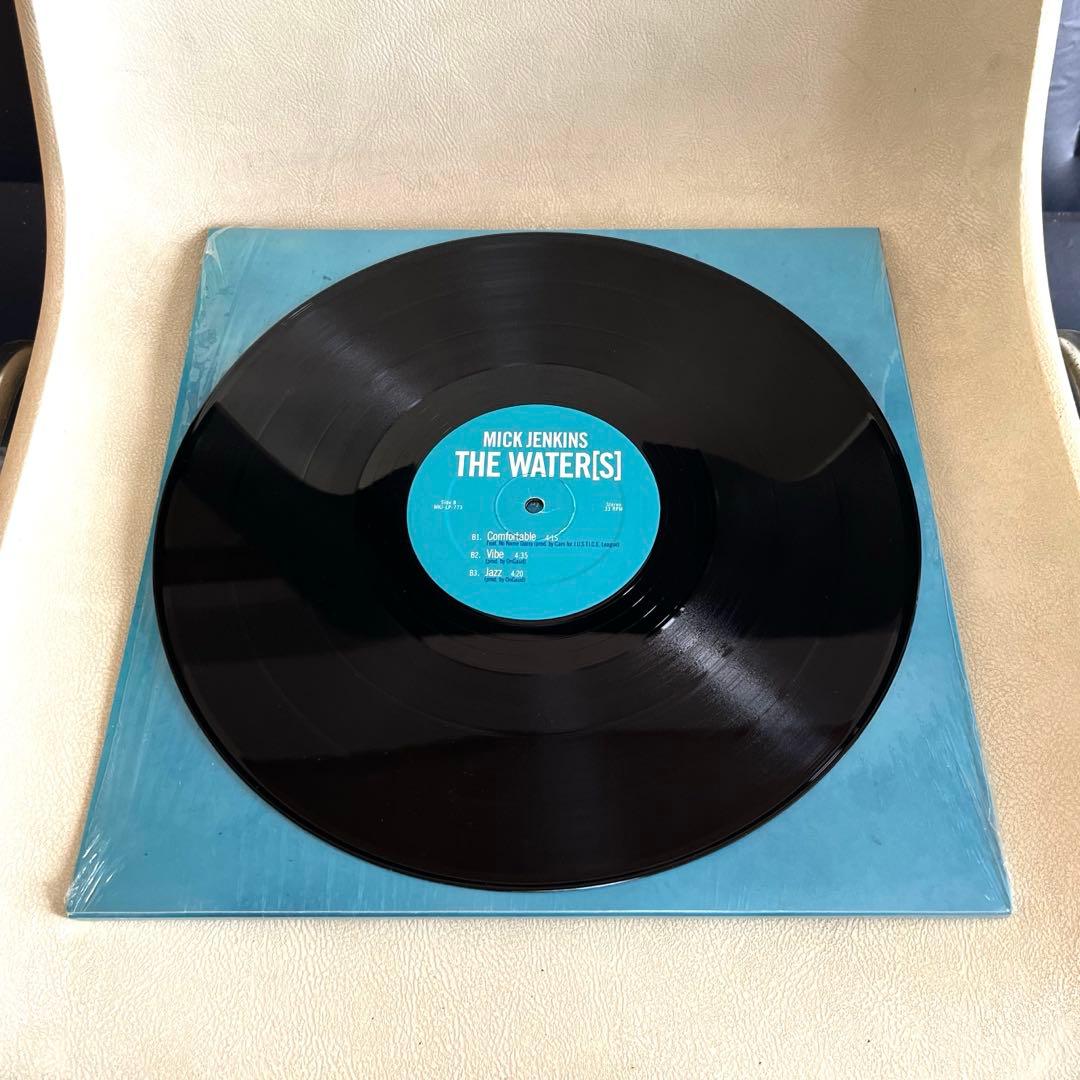 Mick Jenkins - The Water[s] 2LP レコード
