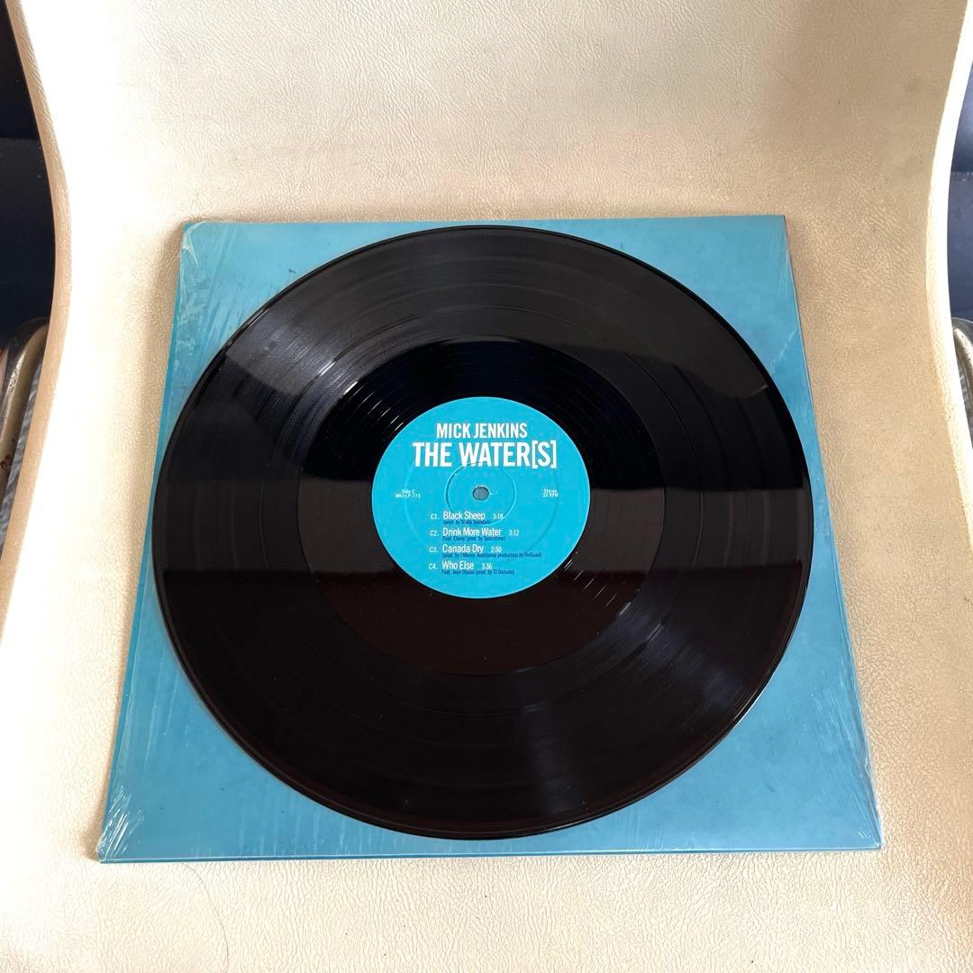 Mick Jenkins - The Water[s] 2LP レコード