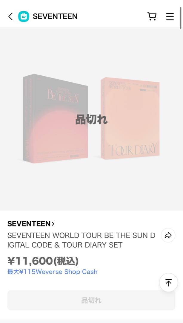 K-POP・アジア SEVENTEEN WORLD TOUR 'BE THE SUN' dvd