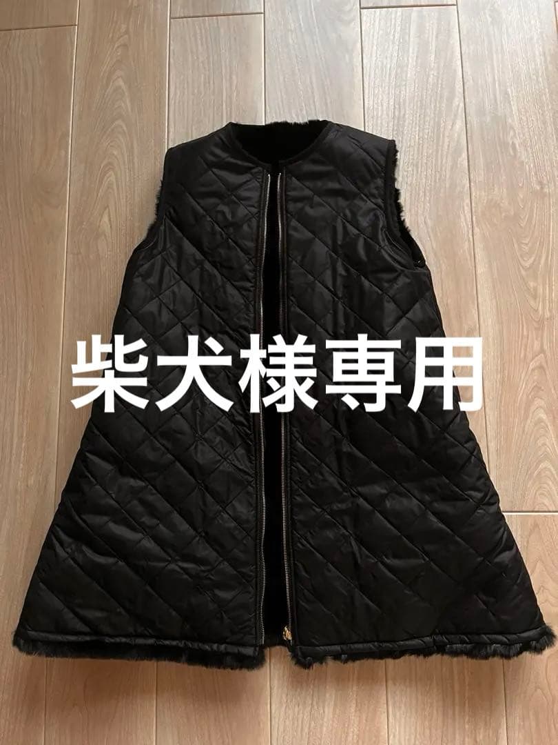 柴犬　バブアー　ビームス